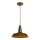 Chandelier on a string VESNA 1xE27/60W/230V