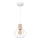 Chandelier on a string WILL 1xE27/60W/230V