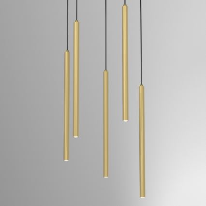 Chandelier on a string YORU 5xG9/8W/230V brass
