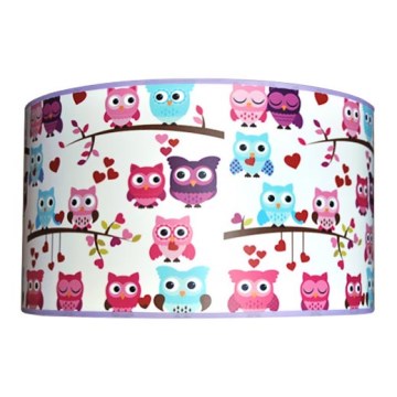 Children's ceiling light OWLS 2xE27/60W/230V