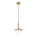 CHITA Cable-Hung Chandelier 1xG9/5W/230V, Gold