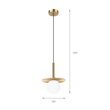 CHITA Cable-Hung Chandelier 1xG9/5W/230V, Gold