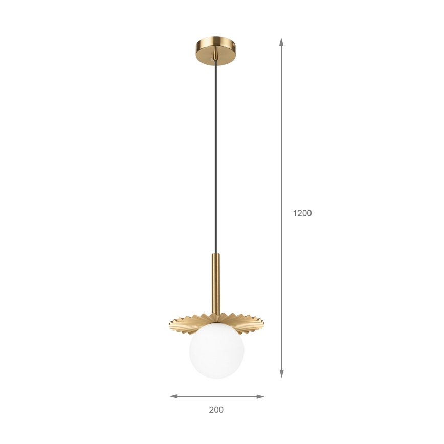 CHITA Cable-Hung Chandelier 1xG9/5W/230V, Gold
