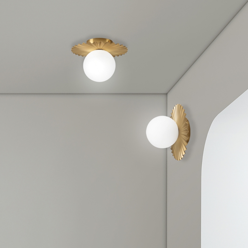 CHITA Wall Lamp 1xG9/5W/230V Gold