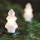 Christmas chain TREE 12xE10 10,7m warm white, Made in Europe