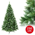 Christmas tree 250 cm fir
