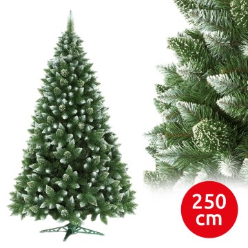 Christmas tree 250 cm pine