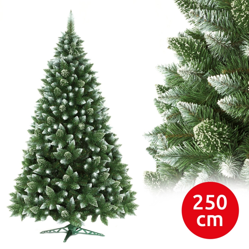 Christmas tree 250 cm pine