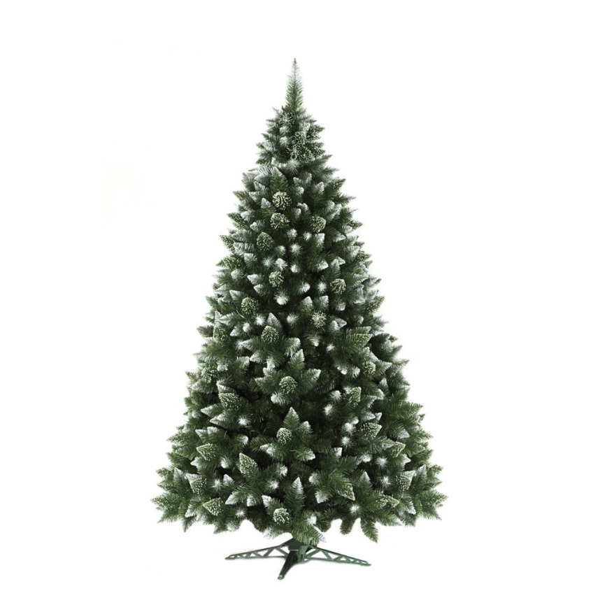 Christmas tree 250 cm pine