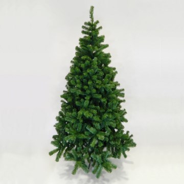 Christmas tree NORMAND fir 90 cm fir