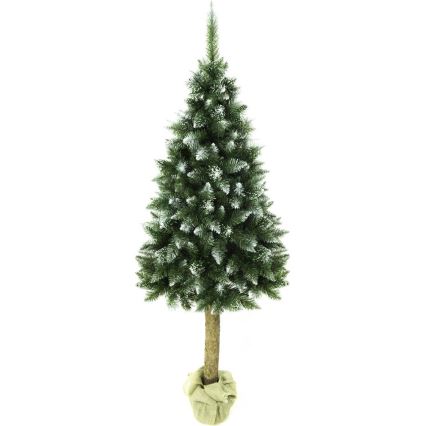 Christmas tree on a trunk 180 cm fir