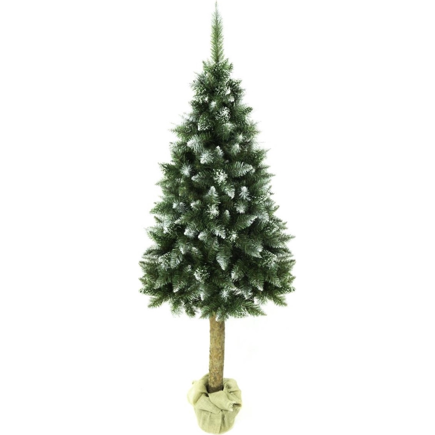 Christmas tree on a trunk 180 cm fir