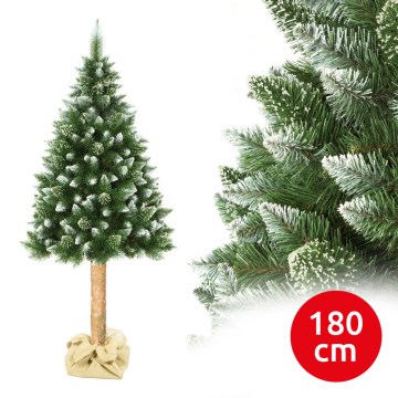 Christmas tree on a trunk 180 cm pine