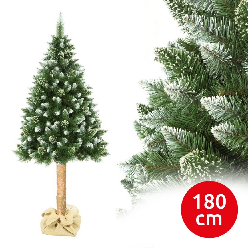 Christmas tree on a trunk 180 cm pine