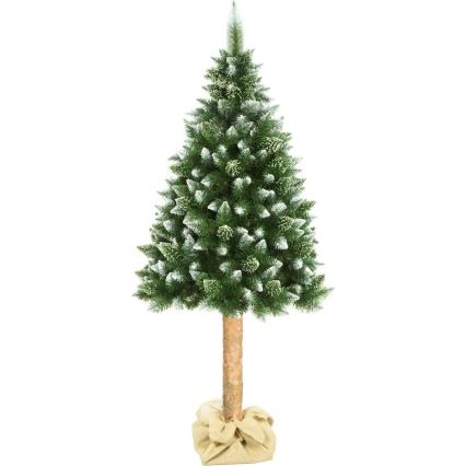 Christmas tree on a trunk 180 cm pine