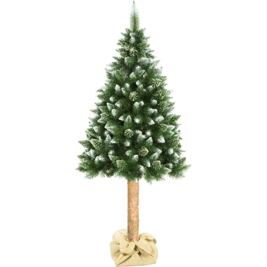Christmas tree on a trunk 180 cm pine