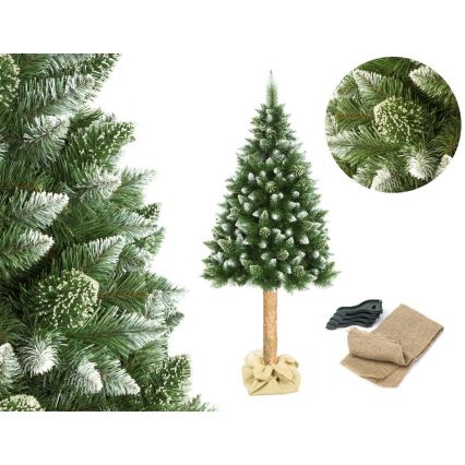 Christmas tree on a trunk 180 cm pine