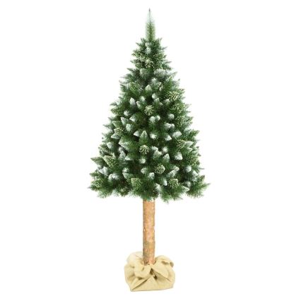 Christmas tree on a trunk 180 cm pine tree