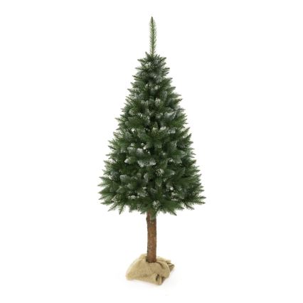 Christmas tree on a trunk 180 cm spruce