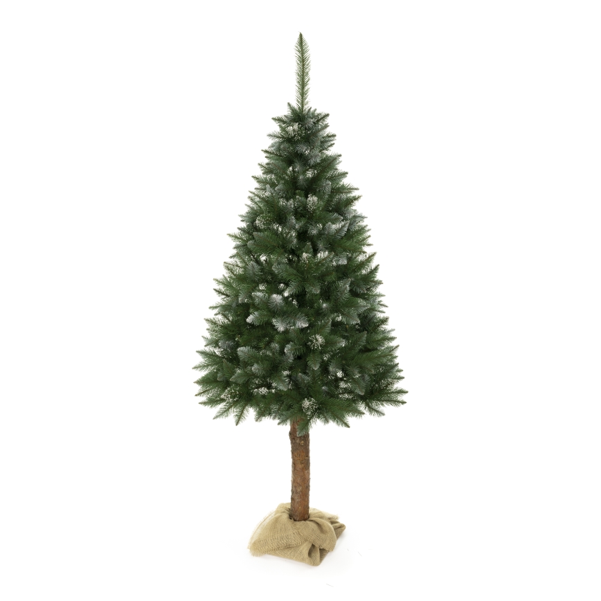 Christmas tree on a trunk 180 cm spruce