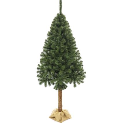 Christmas tree on a trunk 220 cm fir