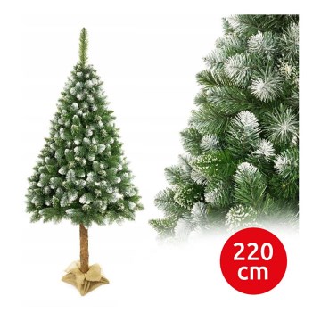 Christmas tree on a trunk 220 cm pine