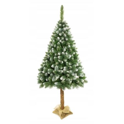 Christmas tree on a trunk 220 cm pine