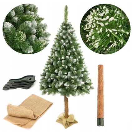 Christmas tree on a trunk 220 cm pine