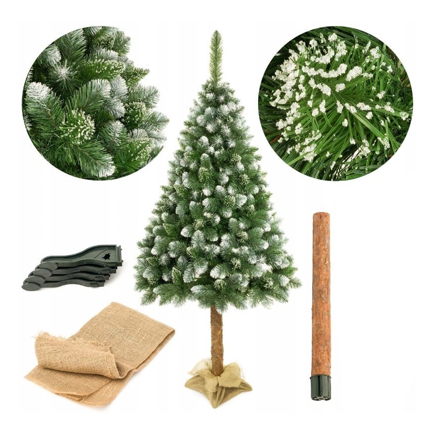 Christmas tree on a trunk 220 cm pine