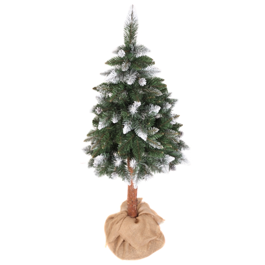 Christmas tree PIN 180 cm pine
