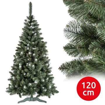 Christmas tree POLA 120 cm pine