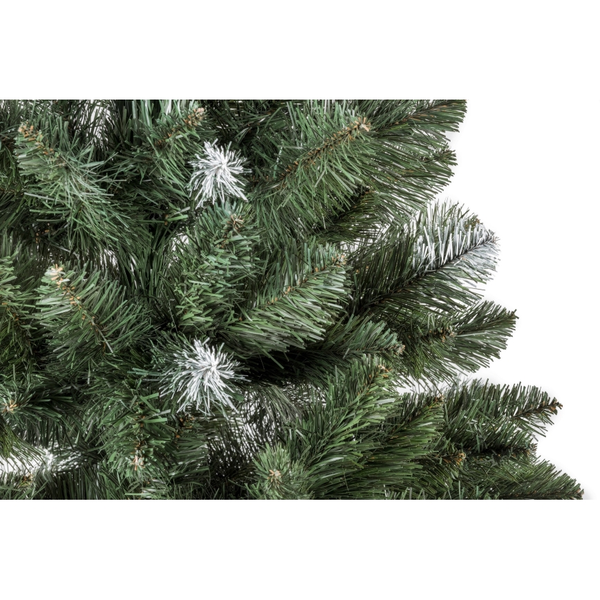 Christmas tree POLA 180 cm pine