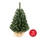 Christmas tree XMAS TREES 70 cm pine