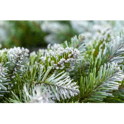 Christmas Wreath, 54 cm Diameter