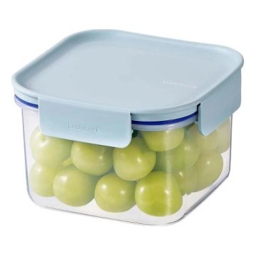CLASSIC PLUS 0.86 L Food Storage Container – Blue/Clear