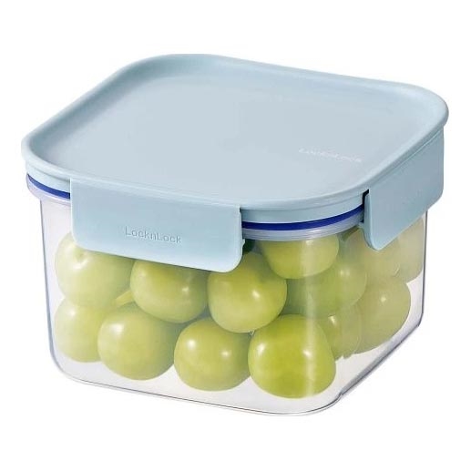 CLASSIC PLUS 0.86 L Food Storage Container – Blue/Clear