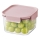 CLASSIC PLUS 0.86 L Food Storage Container — Pink/Clear