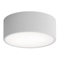 CLEO bathroom ceiling light with sensor, 1x E27 / 24W / 230V, Ø 20 cm, IP54, grey