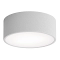 CLEO bathroom ceiling light with sensor, 1x E27 / 24W / 230V, Ø 20 cm, IP54, grey