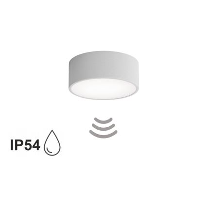 CLEO bathroom ceiling light with sensor, 1x E27 / 24W / 230V, Ø 20 cm, IP54, grey