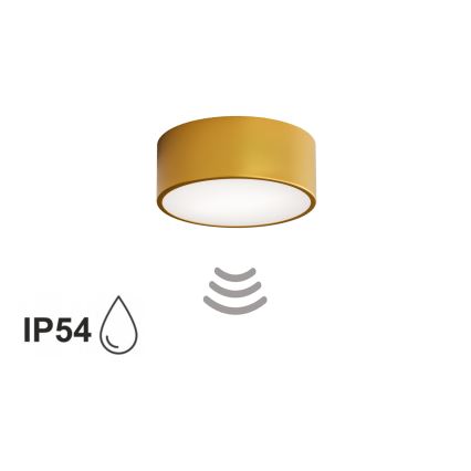 CLEO bathroom ceiling light with sensor, 1xE27/24W/230V, Ø 20 cm, IP54, gold