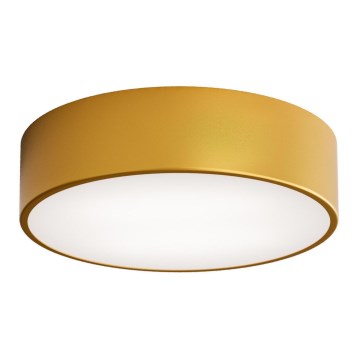 CLEO Bathroom Ceiling Light with Sensor, 2x E27/24W/230V, Ø 30 cm, Gold, IP54