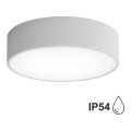 CLEO bathroom ceiling light with sensor 2×E27/24W/230V Ø 30 cm grey IP54 — splash-proof design ideal for bathrooms