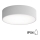 CLEO bathroom ceiling light with sensor 2×E27/24W/230V Ø 30 cm grey IP54 — splash-proof design ideal for bathrooms