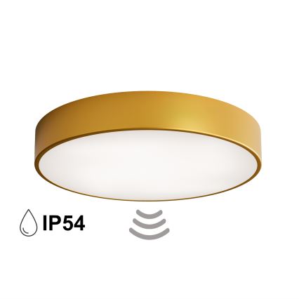 CLEO bathroom ceiling light with sensor, 4x E27/24W/230V, Ø 50 cm, IP54, gold finish