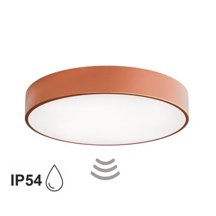 Bathroom ceiling light with sensor CLEO 4xE27/24W/230V Ø 50 cm IP54 copper