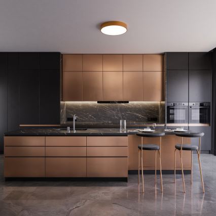 Ceiling fixture with motion and dusk sensor CLEO 2xE27/24W/230V Ø 30 cm, copper finish