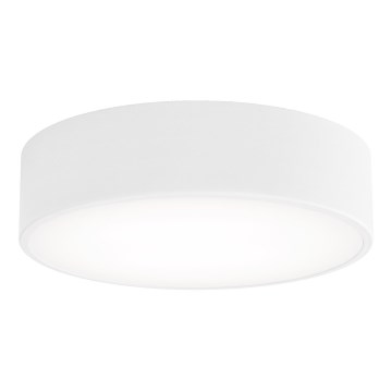 CLEO Ceiling Light with Motion and Dusk Sensor, 2x E27/24W/230V, Ø 30 cm, White
