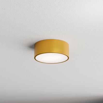 CLEO ceiling light with motion and dusk sensor 1xE27/40W/230V Ø 20 cm gold