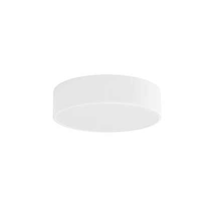 CLEO Ceiling Light with Motion and Dusk Sensor, 2x E27/24W/230V, Ø 30 cm, White